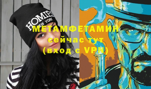 индика Волосово