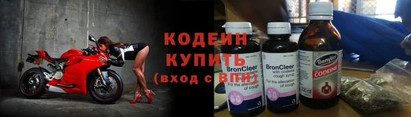 индика Волосово