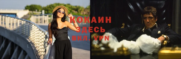 индика Волосово