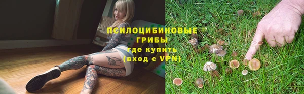 индика Волосово