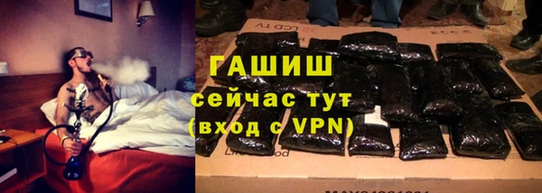 индика Волосово