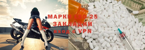 индика Волосово